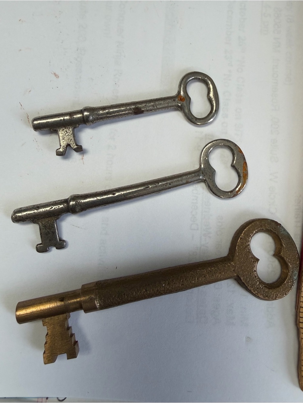 Vintage Metal Skeleton Key Trio